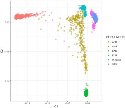 Genetic interactions of schizophrenia using gene-based statistical epistasis exclusively identify nervous system-related pathways and key hub genes